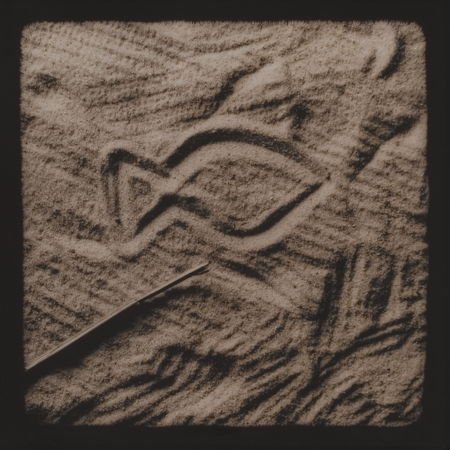 from the series Tales